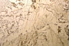 /ext/galleries/Coverings_2011/SW0711Slideshow-CoveringsPictures0101.jpg