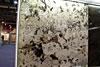 /ext/galleries/Coverings_2011/SW0711Slideshow-CoveringsPictures012.jpg