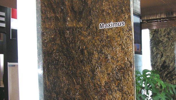 /ext/galleries/Photo_Gallery/Magnitos-Maximus.gif