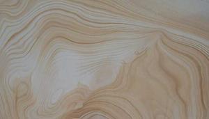 SW0612_Slideshow_CoveringsSIDEBAR01.jpg