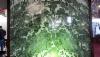/ext/galleries/the-stones-of-the-cachoeiro-stone-fair-in-brazil/full/Bramagran-Ella-Green.jpg