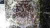 /ext/galleries/the-stones-of-the-cachoeiro-stone-fair-in-brazil/full/Magban---Black-Crystal.jpg