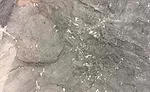 Donatello quartzite