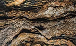 Black Taurus granite