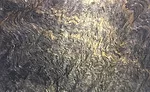 Tungstenio quartzite