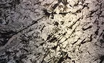 Crema Delicatus granite