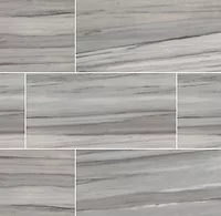 msi tile.png msi tile.png