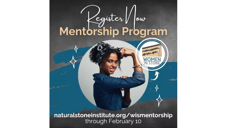 WIS Mentor.png