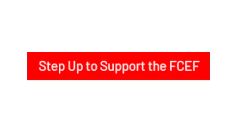 Fcef
