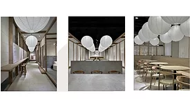 synchrony architectural concept