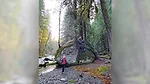 Francee Alderson by a Tree