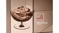 Pantone Institute Reveals 2025 Color of the Year