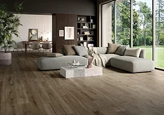 Unica wood-look tile collection