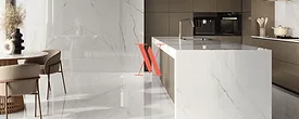 Venux surface