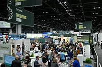 Coverings 2025 Show Floor