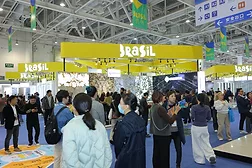 Brazilian Pavilion on the Show Floor of Xiamen Stone Fair 2026