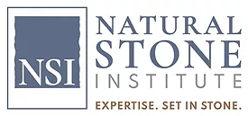 NSI Logo