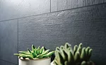 Cersaie 7
