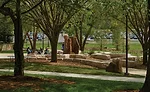 functional and engaging landscape