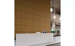 Mounting systems and wall cladding 
