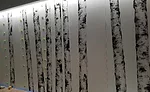 Lippage control systems