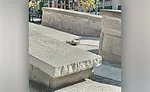 large sandstone pieces at Miller Park in Chattanooga, TN