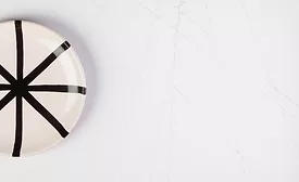 Venato 1 Still Life