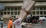 CSTD 2021 Fall Podcast with Darrell Petit installation 1
