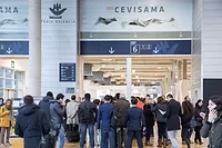 Cevisama