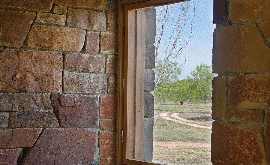 Big Tree Camp Texas