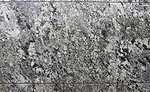 Blue Flower granite