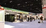 Installation Design Showcase