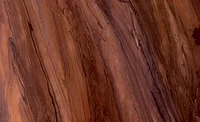 Las Vegas Rock metaquartzite