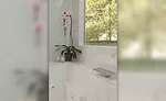 Calacatta marble