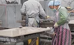 SW0617_FactoryTour-D.jpg