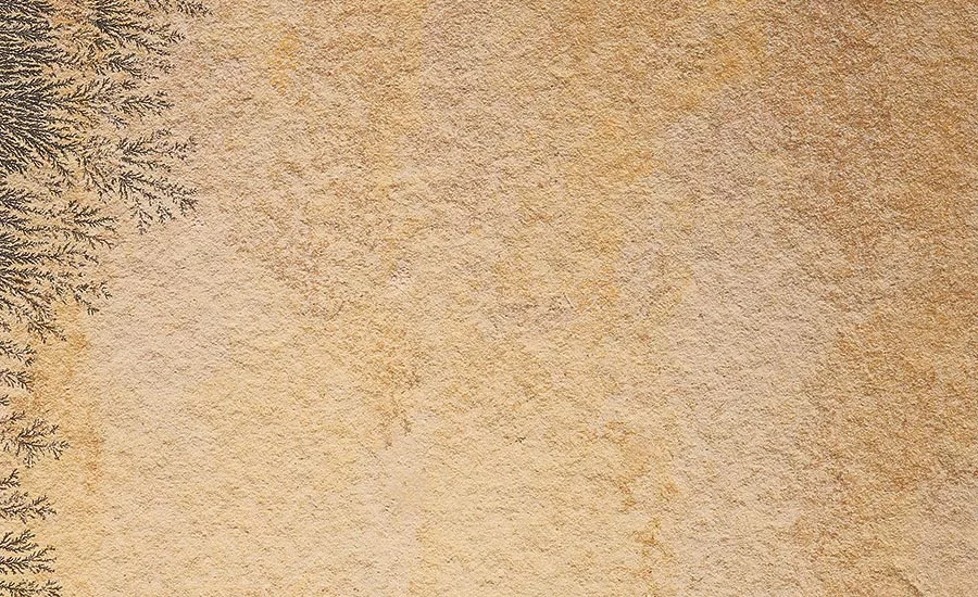 Solnhofen Stone