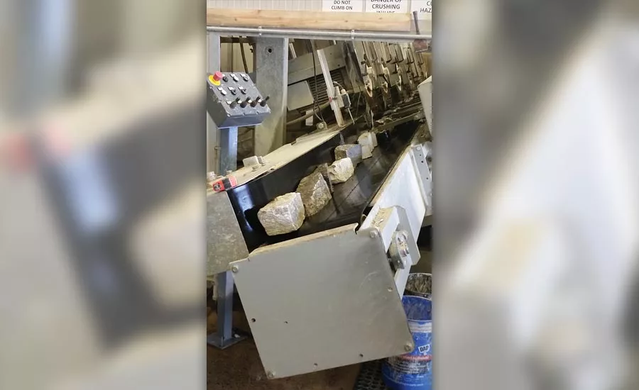 Fast 5 Veneer Saw