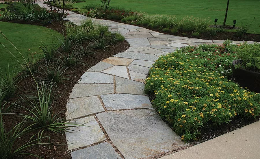 Buckskin is a brown, gold and gray quartzite
