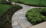 Buckskin is a brown, gold and gray quartzite