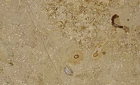 Stone of the Month: Jura Beige Limestone
