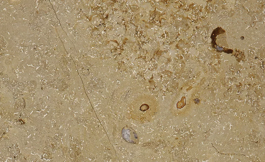 Stone of the Month: Jura Beige Limestone