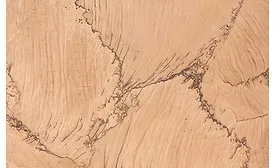 Double Brown quartzite by Cereser Marmi S.p.A.