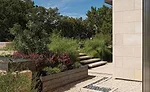 Liz Klein of Design my Yard