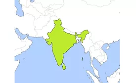 Stones from India main image