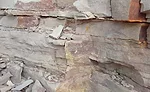 Buechel’s main focus is in its building stone veneer lines