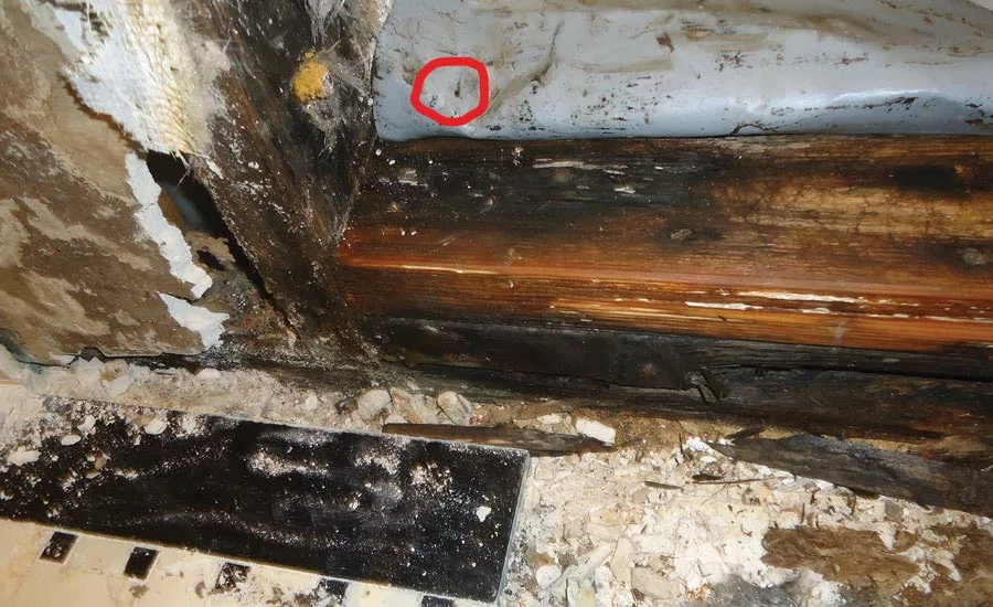 hole in shower pan membrane