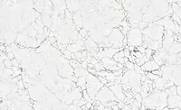 Antonio from Quantra`s Renaissance collection