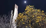 Tab India