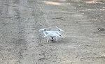 Tennessee Marble Company quarry drone 