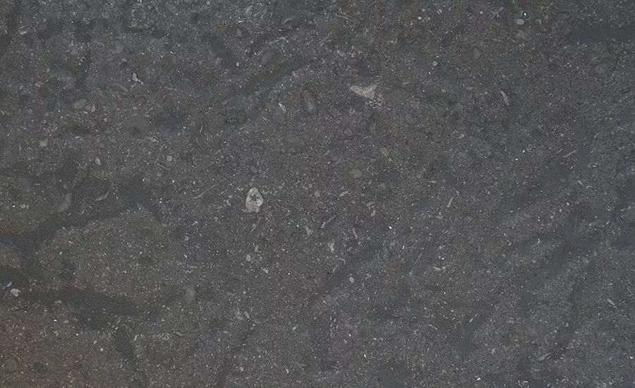 Stone of the Month: Champlain Black marble